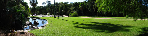 THE BRISBANE CITY BOTANIC GARDENS